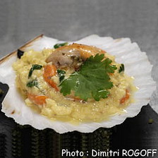 recette coquille saint-jacques oeuf brouillé